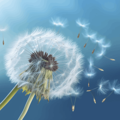 DPs_Allergy copy 4 (1) (1)